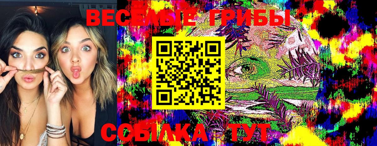 Псилоцибиновые грибы Psilocybe Рубцовск